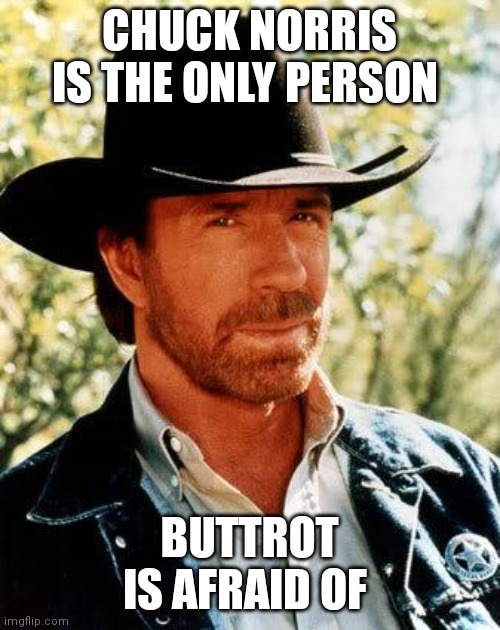 Chuck Norris | CHUCK NORRIS IS THE ONLY PERSON; BUTTROT IS AFRAID OF | image tagged in memes,chuck norris | made w/ Imgflip meme maker