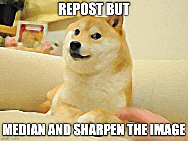 Doge 2 Meme | REPOST BUT; MEDIAN AND SHARPEN THE IMAGE | image tagged in memes,doge 2 | made w/ Imgflip meme maker