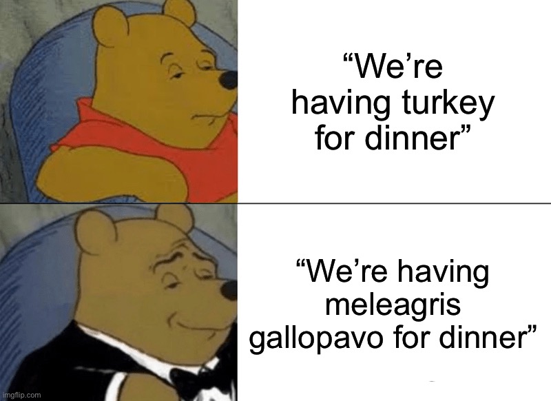 *nerd emoji* | “We’re having turkey for dinner”; “We’re having meleagris gallopavo for dinner” | image tagged in memes,tuxedo winnie the pooh,funny,turkey,dinner,oop | made w/ Imgflip meme maker