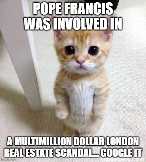 Corrupt pope | POPE FRANCIS WAS INVOLVED IN; A MULTIMILLION DOLLAR LONDON REAL ESTATE SCANDAL... GOOGLE IT | image tagged in memes,cute cat | made w/ Imgflip meme maker