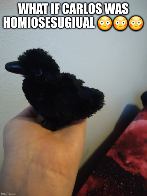 no context | WHAT IF CARLOS WAS HOMIOSESUGIUAL 😳😳😳 | image tagged in moolu's raven plushie | made w/ Imgflip meme maker
