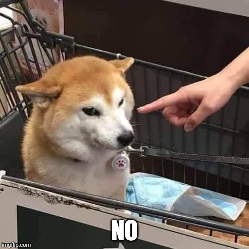 No horny | NO | image tagged in no horny | made w/ Imgflip meme maker