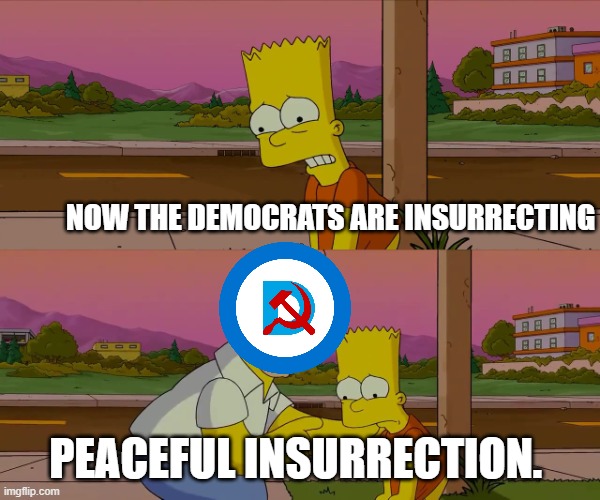 Worst day of my life | NOW THE DEMOCRATS ARE INSURRECTING PEACEFUL INSURRECTION. | image tagged in worst day of my life | made w/ Imgflip meme maker