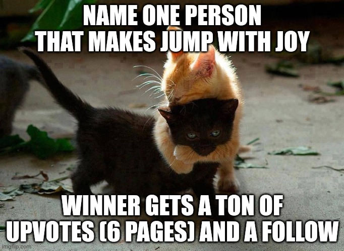 Closed | NAME ONE PERSON THAT MAKES JUMP WITH JOY; WINNER GETS A TON OF UPVOTES (6 PAGES) AND A FOLLOW | image tagged in kitten hug | made w/ Imgflip meme maker