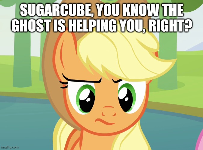 SUGARCUBE, YOU KNOW THE GHOST IS HELPING YOU, RIGHT? | made w/ Imgflip meme maker