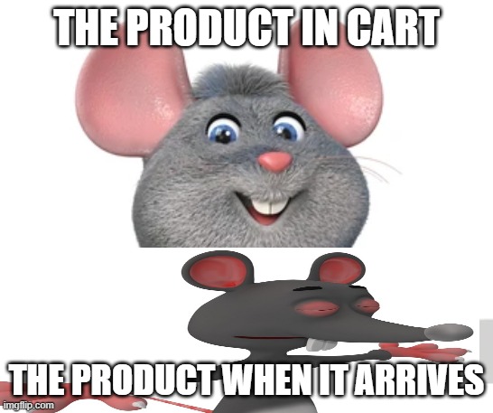 rats | THE PRODUCT IN CART; THE PRODUCT WHEN IT ARRIVES | image tagged in funny memes | made w/ Imgflip meme maker