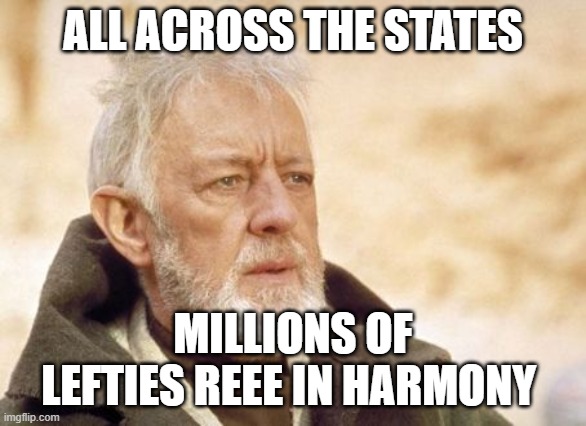 Obi Wan Kenobi Meme | ALL ACROSS THE STATES MILLIONS OF LEFTIES REEE IN HARMONY | image tagged in memes,obi wan kenobi | made w/ Imgflip meme maker