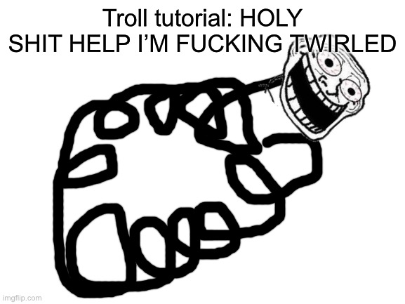 Blank White Template | Troll tutorial: HOLY SHIT HELP I’M FUCKING TWIRLED | image tagged in blank white template | made w/ Imgflip meme maker