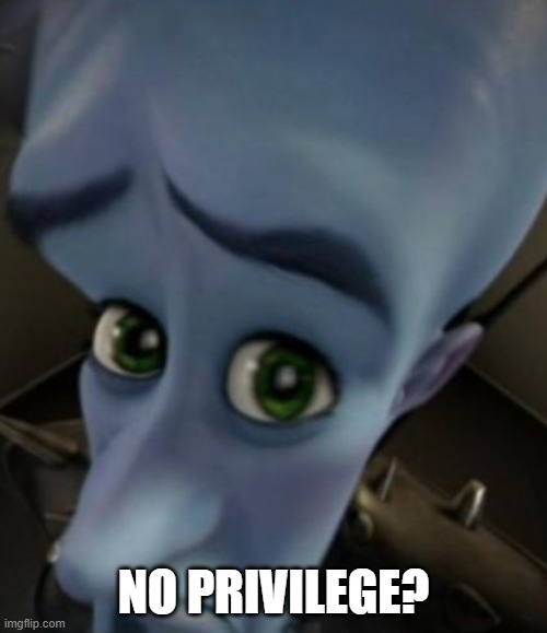 no? | NO PRIVILEGE? | image tagged in no bitches | made w/ Imgflip meme maker