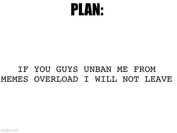 Ok? | PLAN:; IF YOU GUYS UNBAN ME FROM MEMES OVERLOAD I WILL NOT LEAVE | image tagged in blank white template | made w/ Imgflip meme maker