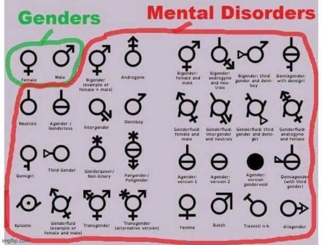 Actual Genders vs Mental disorders | image tagged in gender identity,transgender bathroom,refuse to use your pronoun | made w/ Imgflip meme maker