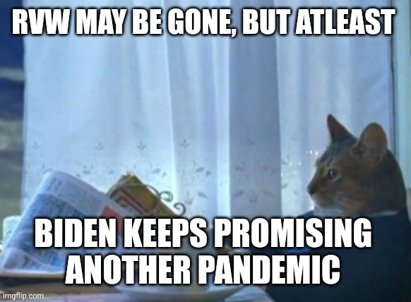I Should Buy A Boat Cat | RVW MAY BE GONE, BUT ATLEAST; BIDEN KEEPS PROMISING 
ANOTHER PANDEMIC | image tagged in memes,i should buy a boat cat | made w/ Imgflip meme maker