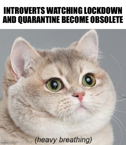 Uh oh for the intro’s | INTROVERTS WATCHING LOCKDOWN AND QUARANTINE BECOME OBSOLETE | image tagged in memes,heavy breathing cat,cats,funny,quarantine,introverts | made w/ Imgflip meme maker