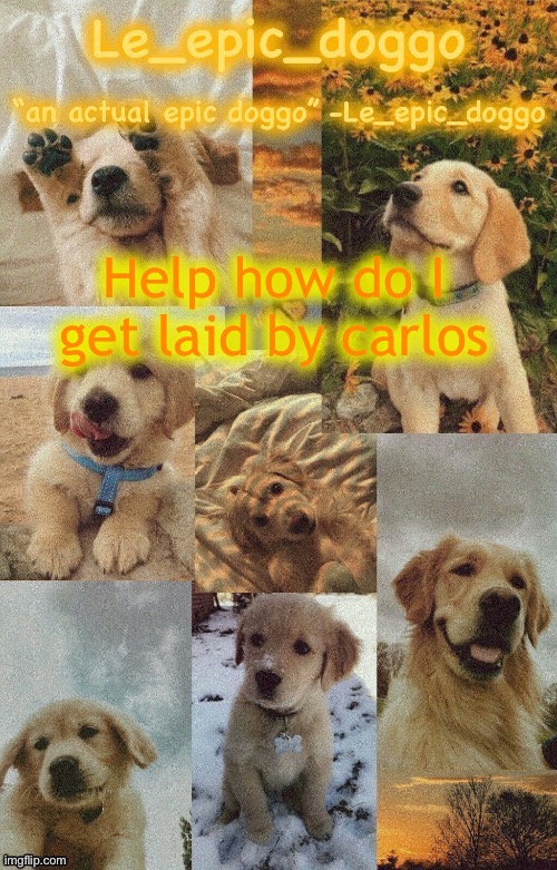 Jschlat | Help how do I get laid by carlos | image tagged in doggo temp by doggo wait what that s confusing | made w/ Imgflip meme maker