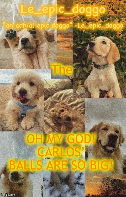 Idk what to do | The; OH MY GOD! CARLOS’ BALLS ARE SO BIG! | image tagged in doggo temp by doggo wait what that s confusing | made w/ Imgflip meme maker