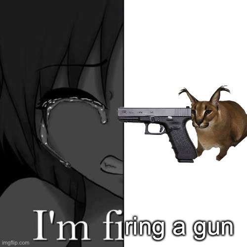 I'm fi | ring a gun | image tagged in i'm fi | made w/ Imgflip meme maker