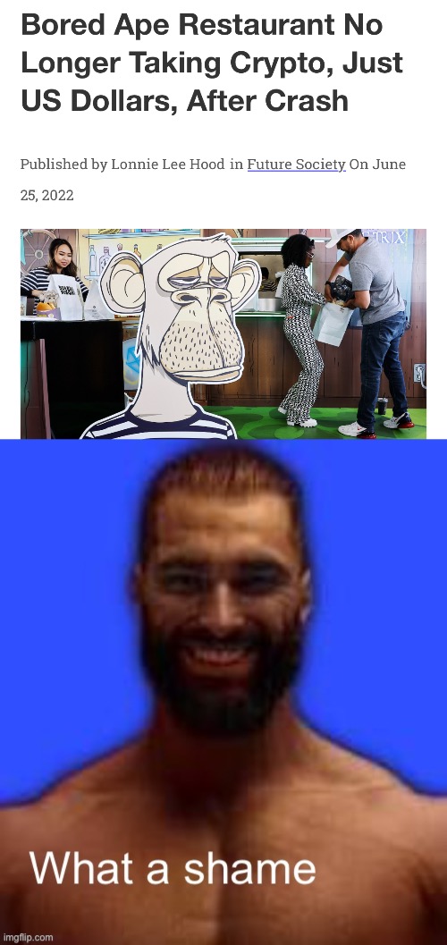 image tagged in what a shame | made w/ Imgflip meme maker