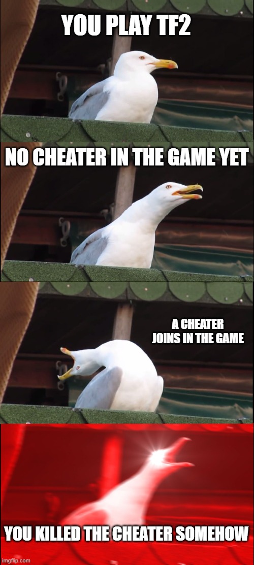 Idk what to name this now. | YOU PLAY TF2; NO CHEATER IN THE GAME YET; A CHEATER JOINS IN THE GAME; YOU KILLED THE CHEATER SOMEHOW | image tagged in memes,inhaling seagull | made w/ Imgflip meme maker