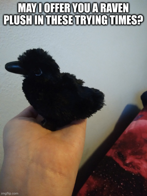 Moolu's raven plushie | MAY I OFFER YOU A RAVEN PLUSH IN THESE TRYING TIMES? | image tagged in moolu's raven plushie | made w/ Imgflip meme maker
