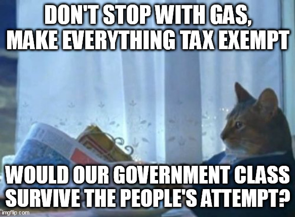 If that cat could talk, what tales to tell. | DON'T STOP WITH GAS, MAKE EVERYTHING TAX EXEMPT; WOULD OUR GOVERNMENT CLASS SURVIVE THE PEOPLE'S ATTEMPT? | image tagged in memes,i should buy a boat cat | made w/ Imgflip meme maker