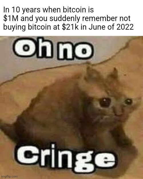 oH nO cRInGe | In 10 years when bitcoin is $1M and you suddenly remember not buying bitcoin at $21k in June of 2022 | image tagged in oh no cringe | made w/ Imgflip meme maker