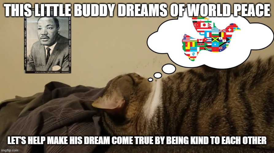 cat dreams of world peace | THIS LITTLE BUDDY DREAMS OF WORLD PEACE; LET'S HELP MAKE HIS DREAM COME TRUE BY BEING KIND TO EACH OTHER | image tagged in mlk jr,cat,dream,world peace | made w/ Imgflip meme maker