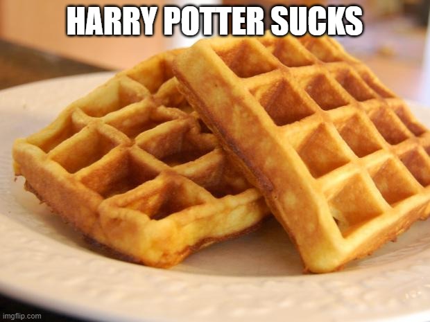 Essay Waffle | HARRY POTTER SUCKS | image tagged in essay waffle | made w/ Imgflip meme maker