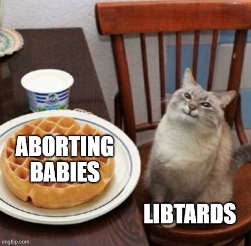 Cat likes their waffle |  ABORTING BABIES; LIBTARDS | image tagged in cat likes their waffle,abortion,memes,babies | made w/ Imgflip meme maker