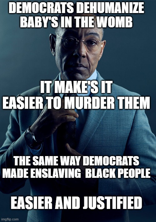 De humanizing | DEMOCRATS DEHUMANIZE BABY'S IN THE WOMB; IT MAKE'S IT EASIER TO MURDER THEM; THE SAME WAY DEMOCRATS MADE ENSLAVING  BLACK PEOPLE; EASIER AND JUSTIFIED | image tagged in gus fring we are not the same | made w/ Imgflip meme maker