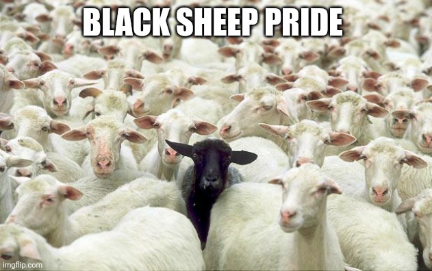 black sheep | BLACK SHEEP PRIDE | image tagged in black sheep | made w/ Imgflip meme maker