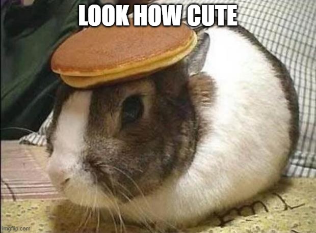 bunny pancake |  LOOK HOW CUTE | image tagged in bunny pancake | made w/ Imgflip meme maker