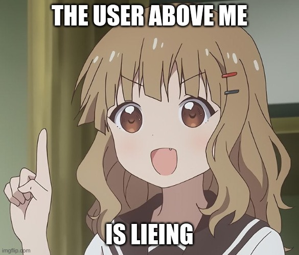 a pic i used for an argument | THE USER ABOVE ME; IS LIEING | image tagged in the person above me | made w/ Imgflip meme maker