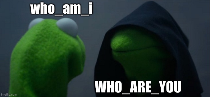 . |  who_am_i; WHO_ARE_YOU | image tagged in memes,evil kermit,who_am_i | made w/ Imgflip meme maker