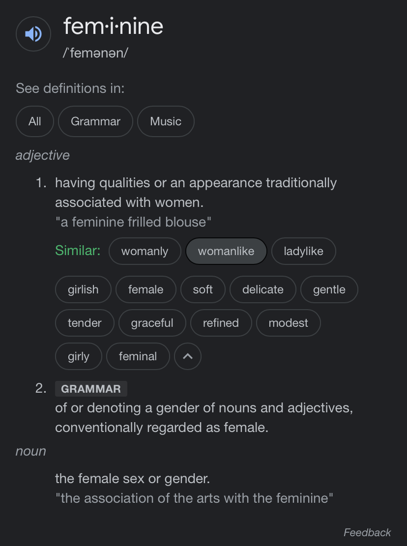 Feminine dictionary Blank Meme Template