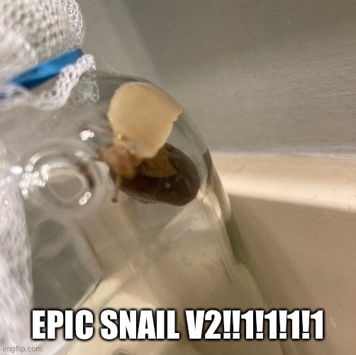 @carlos_the_bunger_enthusiest | EPIC SNAIL V2!!1!1!1!1 | image tagged in epic snail,snail | made w/ Imgflip meme maker
