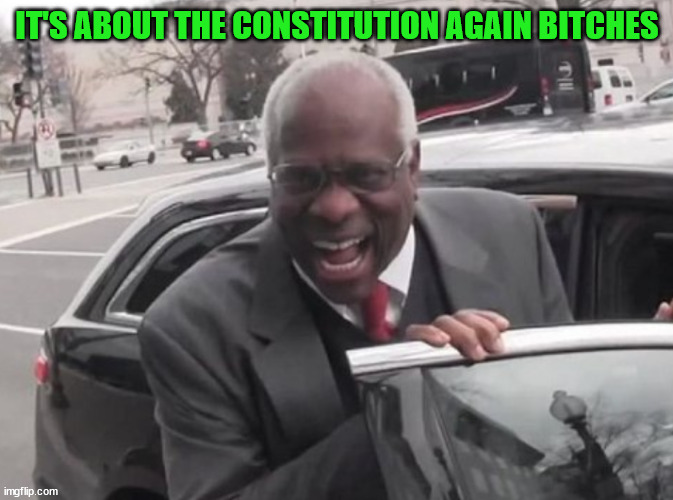 IT'S ABOUT THE CONSTITUTION AGAIN BITCHES | image tagged in it's about the constitution | made w/ Imgflip meme maker