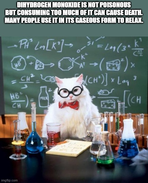 Chemistry Cat | DIHYDROGEN MONOXIDE IS NOT POISONOUS BUT CONSUMING TOO MUCH OF IT CAN CAUSE DEATH. MANY PEOPLE USE IT IN ITS GASEOUS FORM TO RELAX. | image tagged in memes,chemistry cat | made w/ Imgflip meme maker