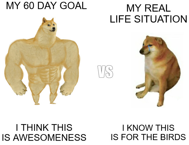 BREAKS | MY 60 DAY GOAL; MY REAL LIFE SITUATION; VS; I THINK THIS IS AWESOMENESS; I KNOW THIS IS FOR THE BIRDS | image tagged in memes,buff doge vs cheems | made w/ Imgflip meme maker