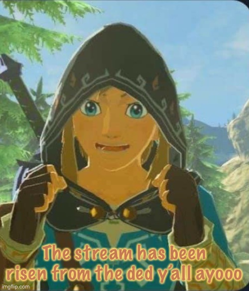 Ayyy | The stream has been risen from the ded y’all ayooo | image tagged in the legend of zelda breath of the wild,the stream is alive,why are you reading this | made w/ Imgflip meme maker