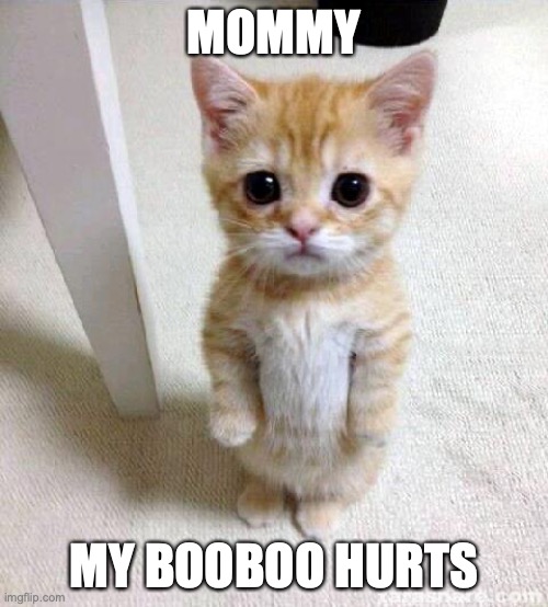 Cute Cat Meme | MOMMY; MY BOOBOO HURTS | image tagged in memes,cute cat | made w/ Imgflip meme maker