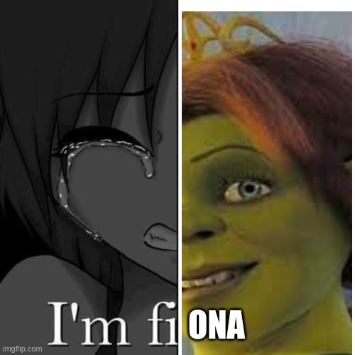 I'm fi | ONA | image tagged in i'm fi | made w/ Imgflip meme maker