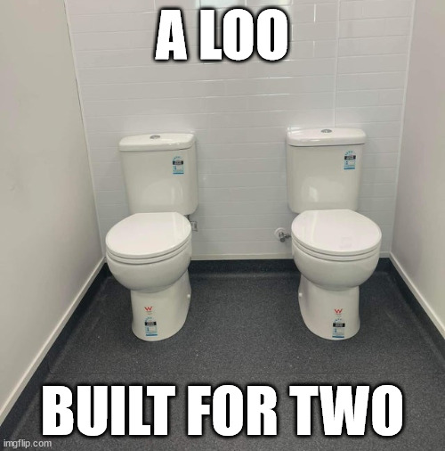 Signs that privacy might be dead | A LOO; BUILT FOR TWO | image tagged in toilet | made w/ Imgflip meme maker