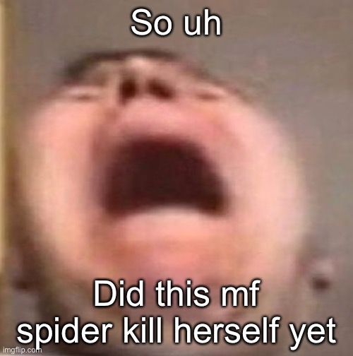 . | So uh; Did this mf spider kill herself yet | made w/ Imgflip meme maker