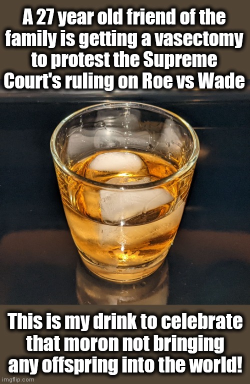 Here's how! |  A 27 year old friend of the
family is getting a vasectomy
to protest the Supreme Court's ruling on Roe vs Wade; This is my drink to celebrate
that moron not bringing any offspring into the world! | image tagged in memes,roe vs wade,supreme court,vasectomy,celebrate,cheers | made w/ Imgflip meme maker