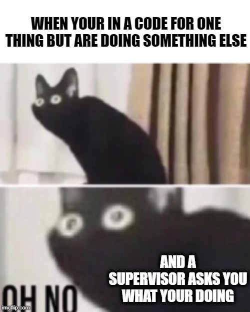 Oh no cat | WHEN YOUR IN A CODE FOR ONE THING BUT ARE DOING SOMETHING ELSE; AND A SUPERVISOR ASKS YOU WHAT YOUR DOING | image tagged in oh no cat | made w/ Imgflip meme maker