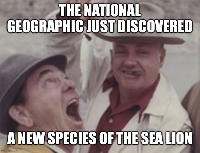 Sea Moe | THE NATIONAL GEOGRAPHIC JUST DISCOVERED; A NEW SPECIES OF THE SEA LION | image tagged in moe goofing off | made w/ Imgflip meme maker