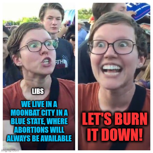 The unrelenting mindlessness of democrats | WE LIVE IN A MOONBAT CITY IN A
BLUE STATE, WHERE
ABORTIONS WILL ALWAYS BE AVAILABLE; LIBS; LET'S BURN
IT DOWN! | image tagged in social justice warrior hypocrisy,memes,abortion,supreme court,mostly peaceful,destruction of cities | made w/ Imgflip meme maker