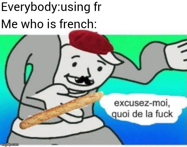 (Ik ... fr mean for real...) | Everybody:using fr; Me who is french: | image tagged in french wtf | made w/ Imgflip meme maker