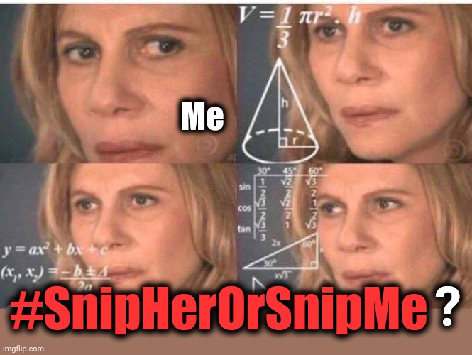 Math lady/Confused lady | Me #SnipHerOrSnipMe ? | image tagged in math lady/confused lady | made w/ Imgflip meme maker
