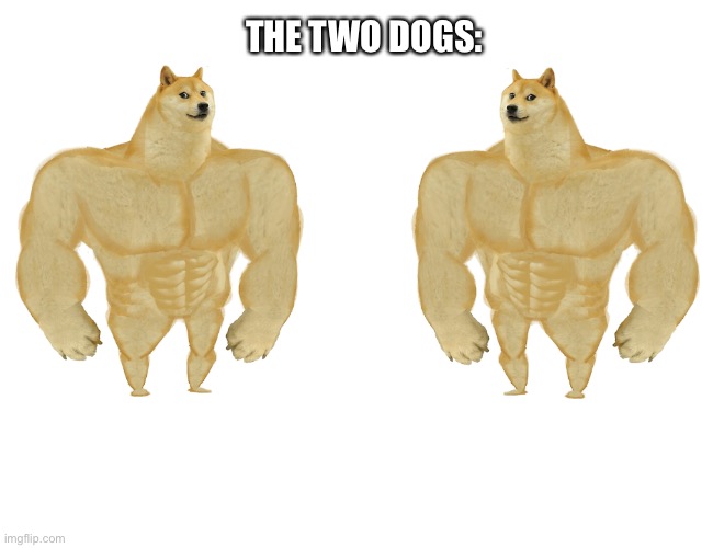 Two Buff doges | THE TWO DOGS: | image tagged in two buff doges | made w/ Imgflip meme maker